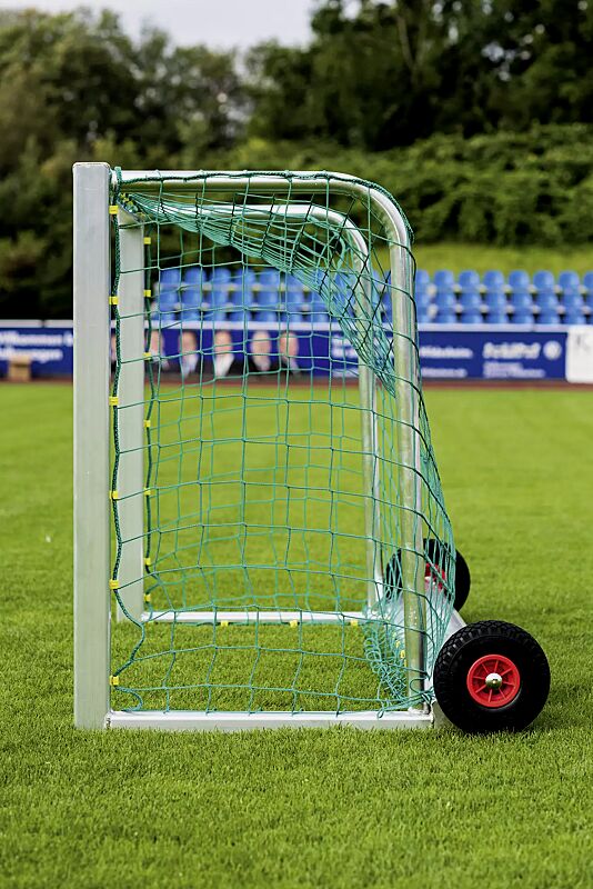 Mini-Tor SAFEGUARD, Höhe 800 mm