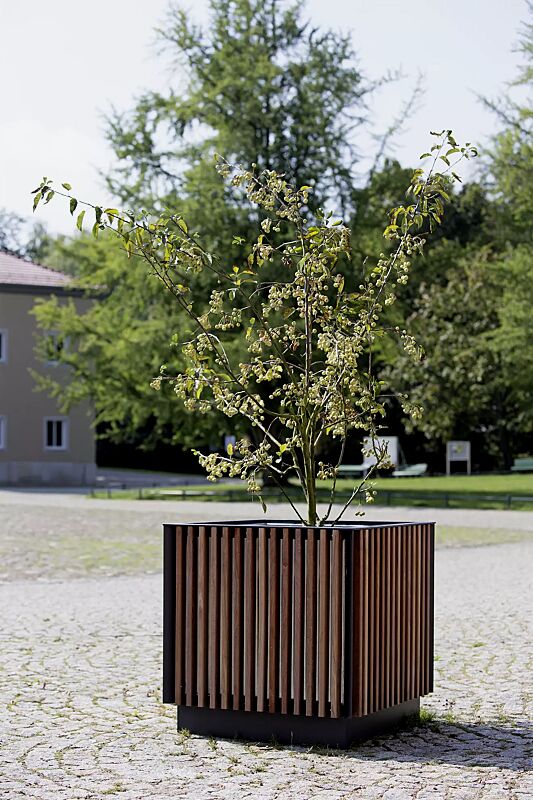 Pflanzbehälter FLORIUM, quadratisch, mit Jatobaholzbelattung, Stahlteile in RAL 7016 anthrazitgrau