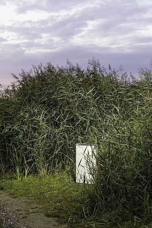 Abfallbehälter MINIUM zum Aufdübeln, Stahlteile in RAL 7016 anthrazitgrau