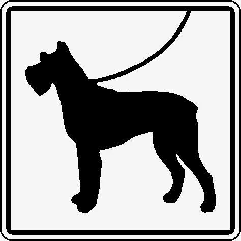 Schild: Hunde anleinen (Symbol) B x H : 200 x 200 mm