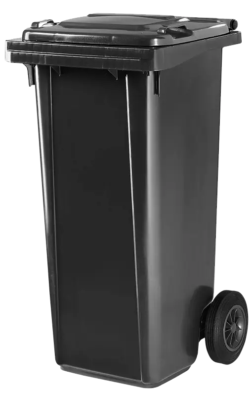 Mülltonne LANUS, 120-Liter, in grau