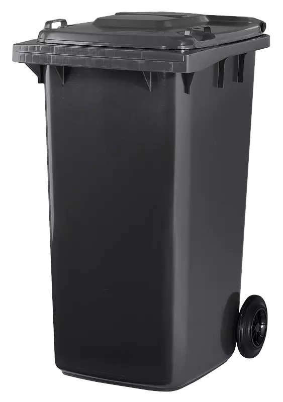 Mülltonne LANUS, 240-Liter, in grau