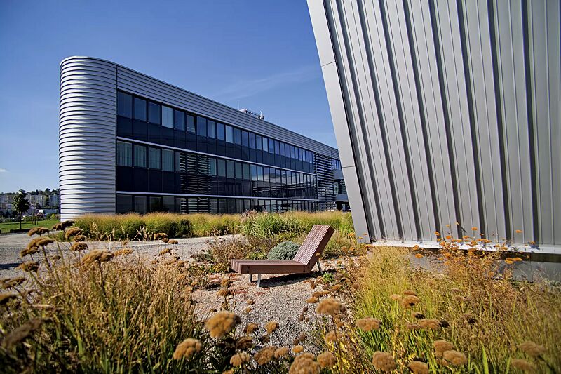 Liegebank WOODY mit Jatobaholzbelattung