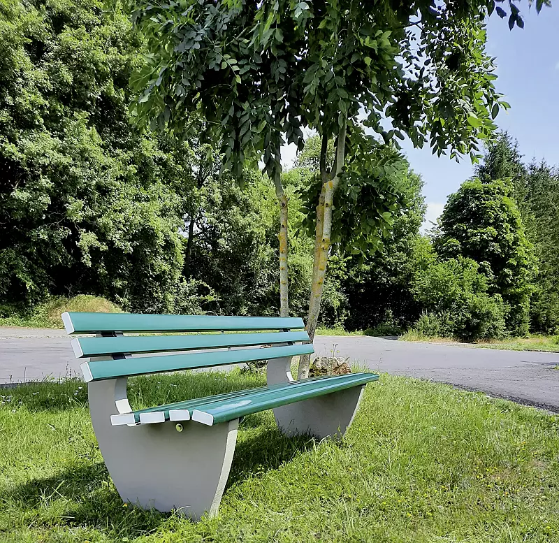 Sitzbank GENOVA, Belattung mit PVC-Leisten, mit Holzeinlage, in RAL 6005 moosgrün