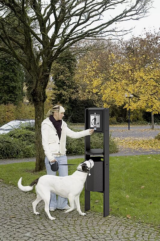 Hundetoilette COVENTRY mit achteckigem Abfallbehälter, zum Einbetonieren, in RAL 7016 anthrazitgrau