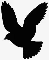 Raubvogelaufkleber "Taube"