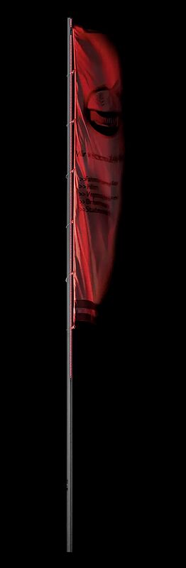 397.324/led-fahnenmast-appear-hoehe-ueber-flur-10-m-ohne-ausleger__shoKAT0009369