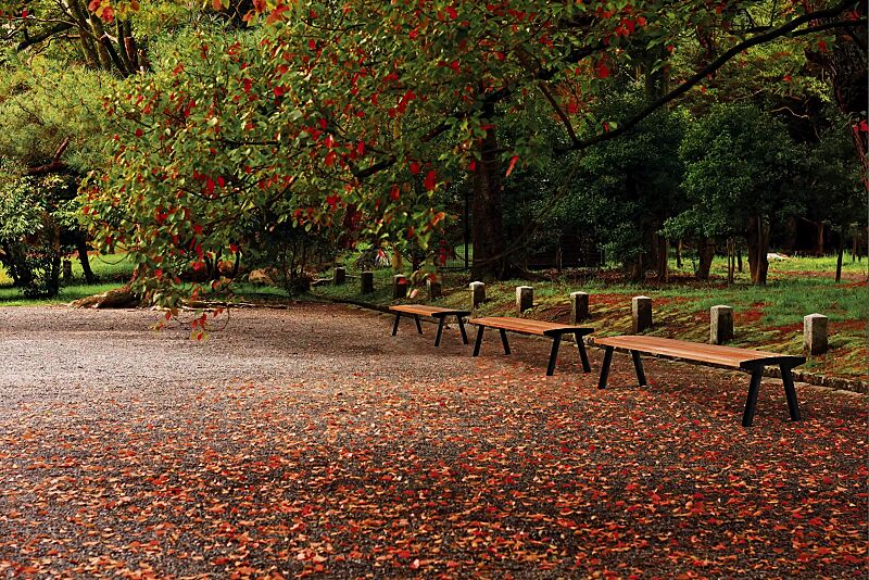 Sitzbank NOALE ohne Rückenlehne, mit Hartholzbelattung, Stahlteile in RAL 9005 tiefschwarz
