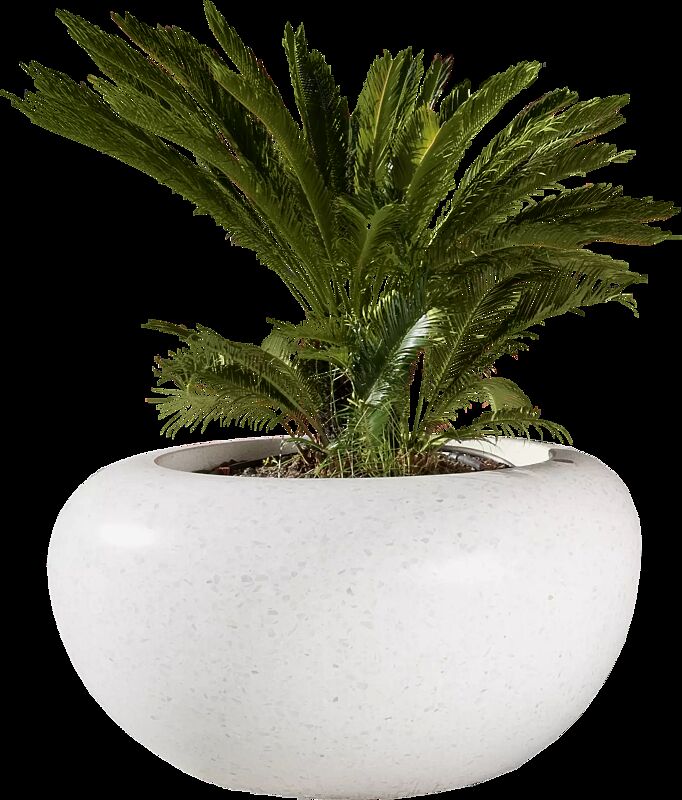 Pflanzbehälter VENERE aus rekonstituiertem Marmor geschliffen, in weiß carrara