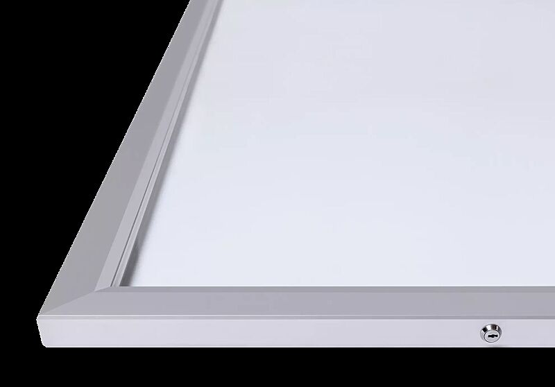 Detail: flacher Profilrahmen mit Sicherheitsschloss