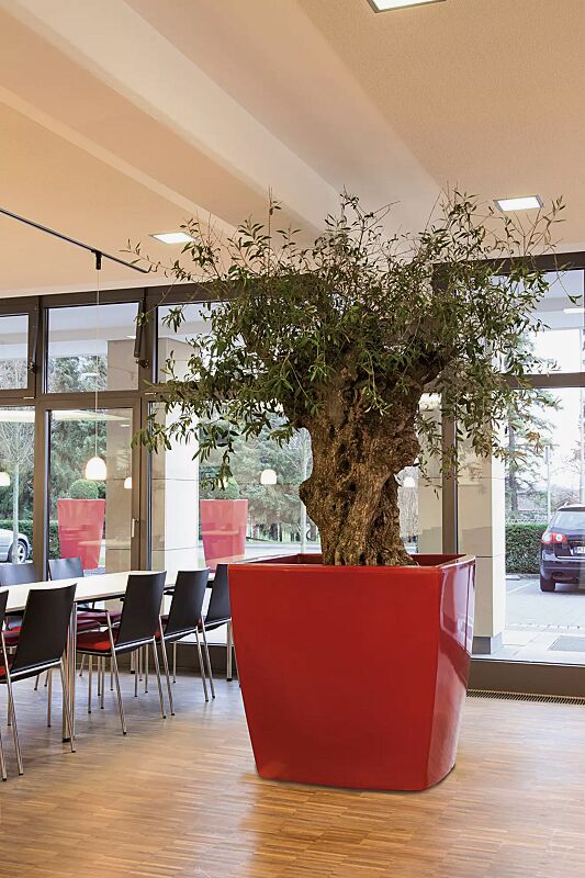 Pflanzbehälter DELHI in rubinrot ähnlich RAL 3003