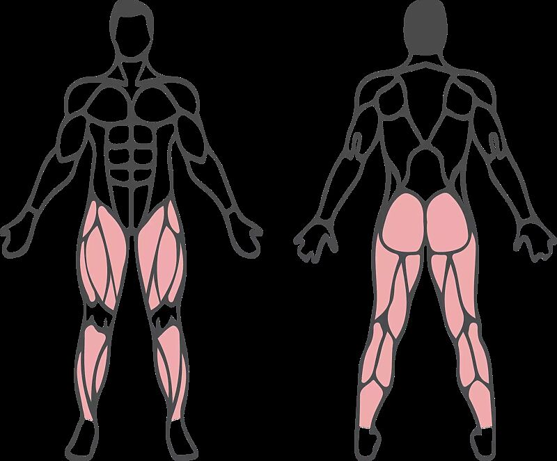 790.018/beintrainer-strength-new__shoKAT0068104