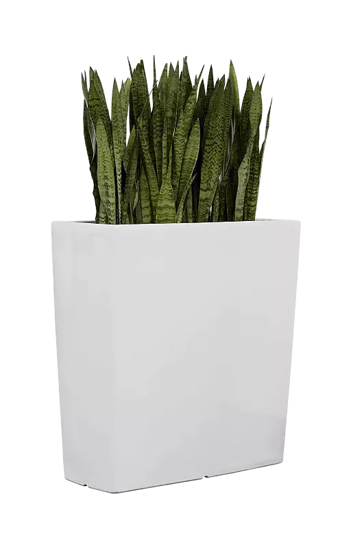 Pflanzbehälter TURA in weiß ähnlich RAL 9003