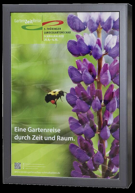 Werbevitrine CITY-LIGHT einseitig, in RAL 7016 anthrazitgrau