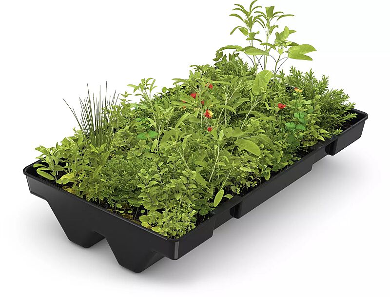 Sedum-Kassettensystem aus recyceltem HDPE, Ausführung Premium