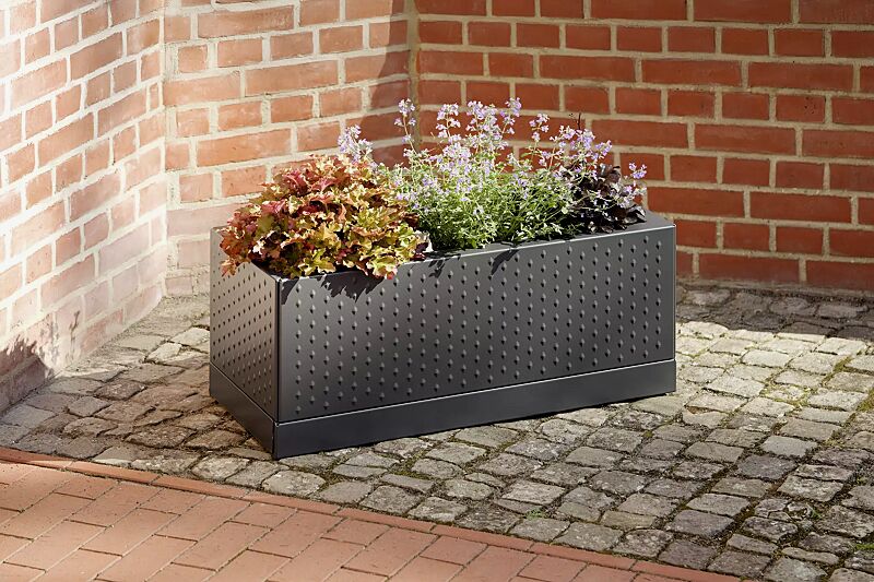 Pflanzbehälter TILLEY, rechteckig, in RAL 7016 anthrazitgrau