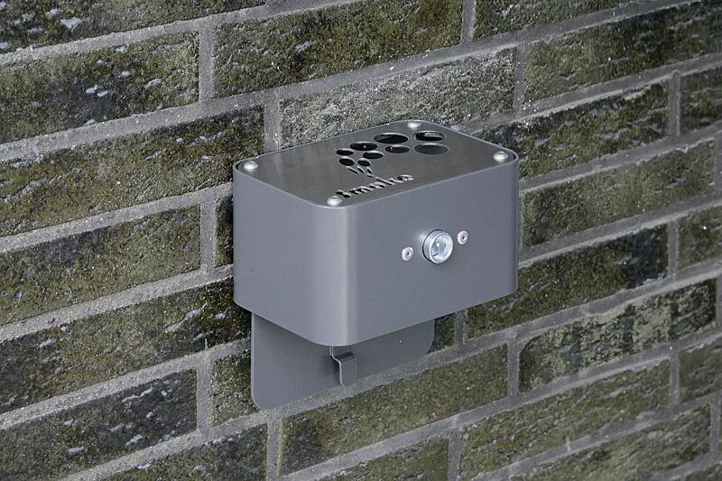 ascher-ashfield__shoKAT0020879