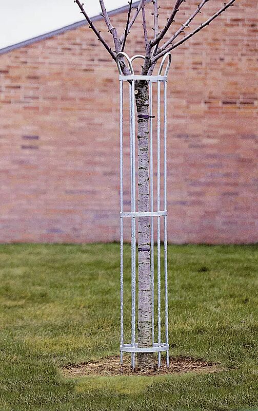 Baumschutzgitter TULIP, 1500 x 345 mm, feuerverzinkt