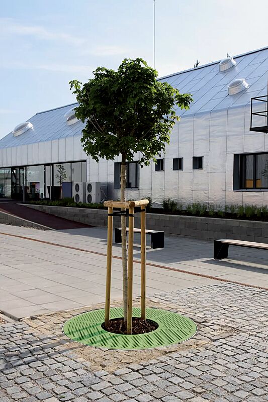 baumschutzrost-sinus__shoKAT0051537 Baumschutzrost SINUS in RAL 6010 grasgrün