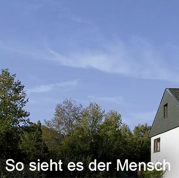 birdsticker__shoKAT0059984 Birdsticker®