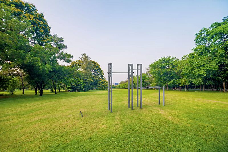 Calisthenics-Anlage SALMON LADDER