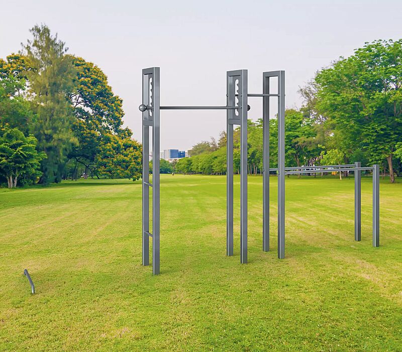 Calisthenics-Anlage SALMON LADDER