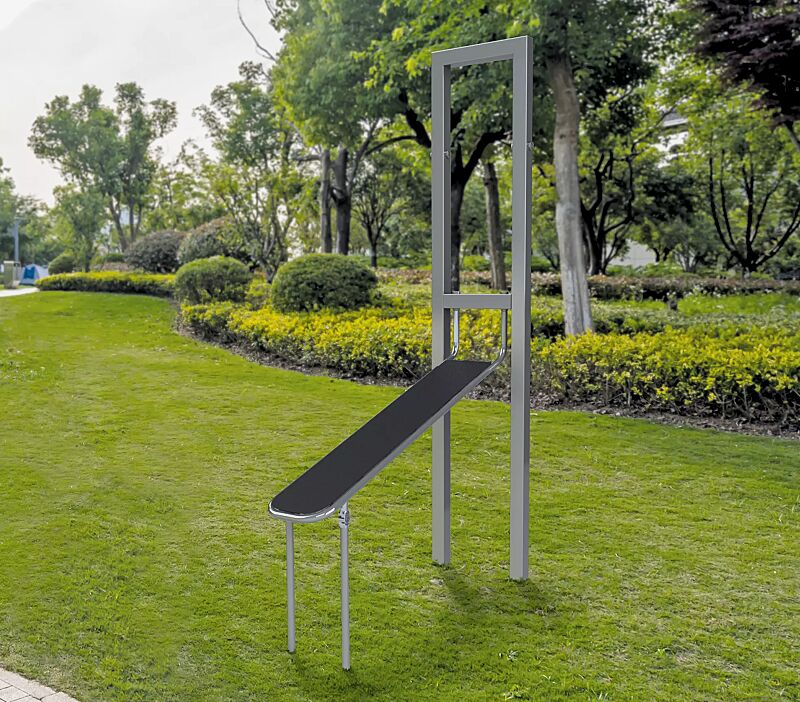 Calisthenics-Station DRAGON FLAG