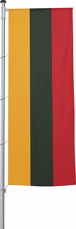 fahnentuch-litauen__shoKAT0069099 Fahnentuch LITAUEN, Auslegerflagge