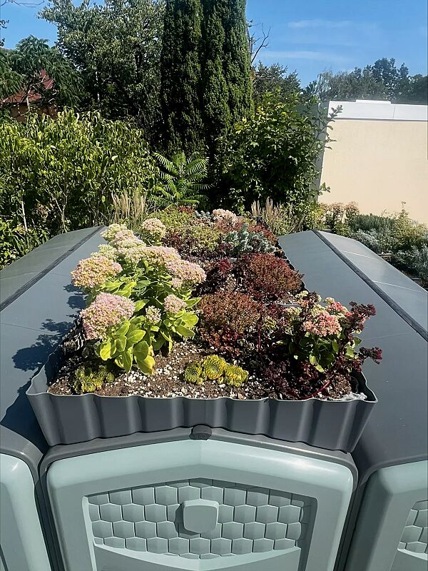 fahrradgarage-piran__shoKAT0074910 Detail: Dachbegrünungswanne (Zubehör)