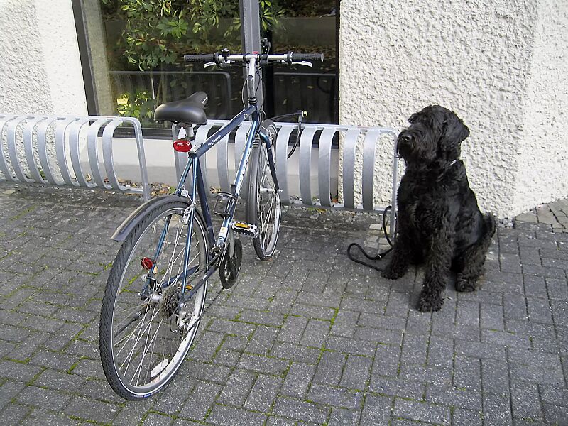 fahrradstaender-tour__shoKAT0031271 Fahrradständer TOUR, einseitig, zum Einbetonieren