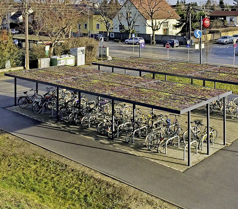 Überdachungsanlage LUNA GREEN, doppelseitig, 2 x Dachbreite x Dachtiefe 13660 mm x 4800 mm, mit Dachbegrünungswanne (Sedummatten bauseits), Anlehnbügel FLORIDA, Stahlkonstruktion in RAL 7016 anthrazitgrau