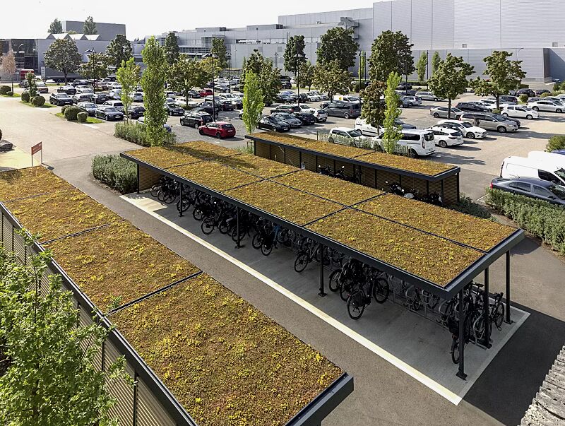 fahrradueberdachung-luna-green__shoKAT0076363 Fahrradüberdachung LUNA GREEN inklusive Dachbegrünungssystem MOBIROOF, Dachbreite x Dachtiefe 13660 mm bzw. 18160 mm x 2400 mm bzw. 4800 mm, Wandelemente Z-Lamellen in RAL 1019 graubeige, Stahlkonstruktion in RAL 7016 anthrazitgrau