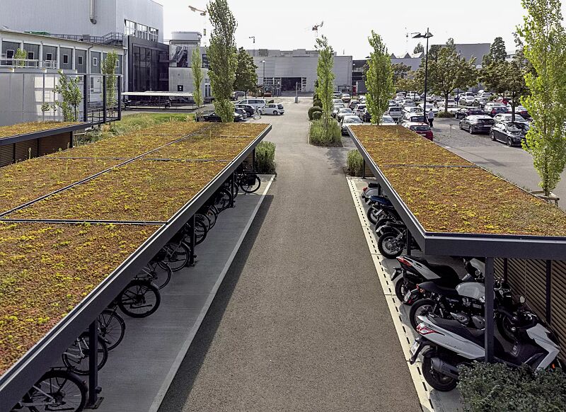 fahrradueberdachung-luna-green__shoKAT0076364 Fahrradüberdachung LUNA GREEN inklusive Dachbegrünungssystem MOBIROOF, Dachbreite x Dachtiefe 13660 mm bzw. 18160 mm x 2400 mm bzw. 4800 mm, Wandelemente Z-Lamellen in RAL 1019 graubeige, Stahlkonstruktion in RAL 7016 anthrazitgrau