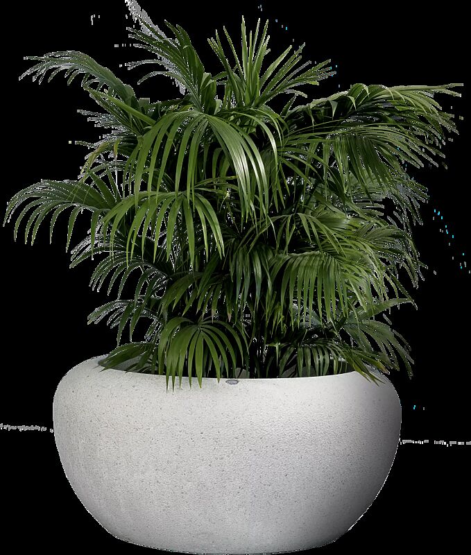 Pflanzbehälter GIOVE aus Beton gestockt, in Granitoptik weiß