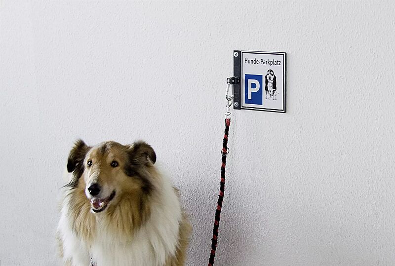 Hunde-Parkplatz BEAGLE zur Wandbefestigung, in RAL 7016 anthrazitgrau