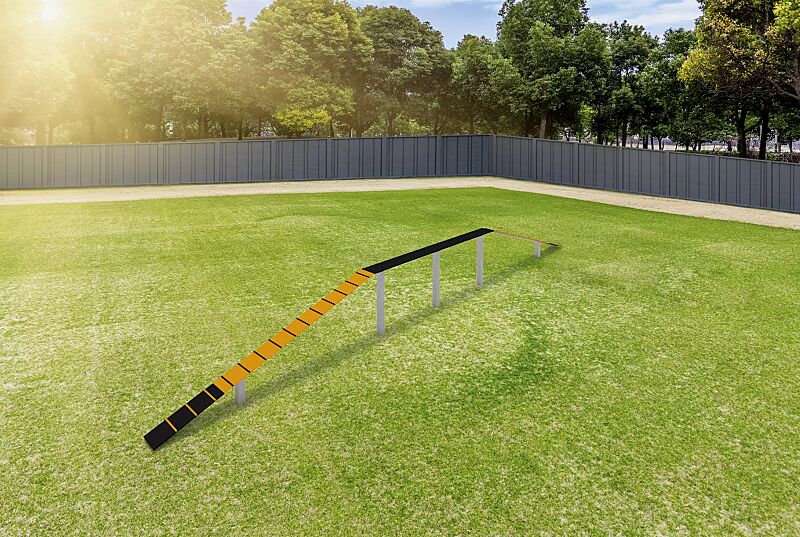 hundelaufsteg-satu__shoKAT0071485 Hundelaufsteg SATU, Balancierbrett in daliengelb ähnlich RAL 1033 und RAL 9005 tiefschwarz