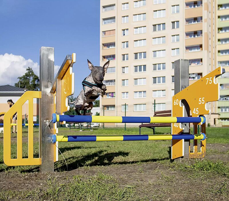 Hundesprunghürde ASTA, Kunststoffelemente ähnlich RAL 1033 daliengelb und RAL 9003 signalweiß