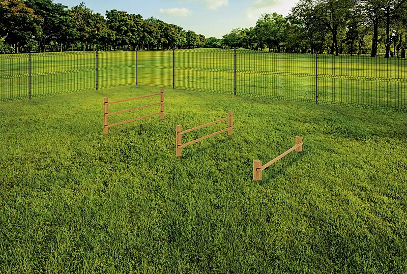 Hundesprunghürde EYKE