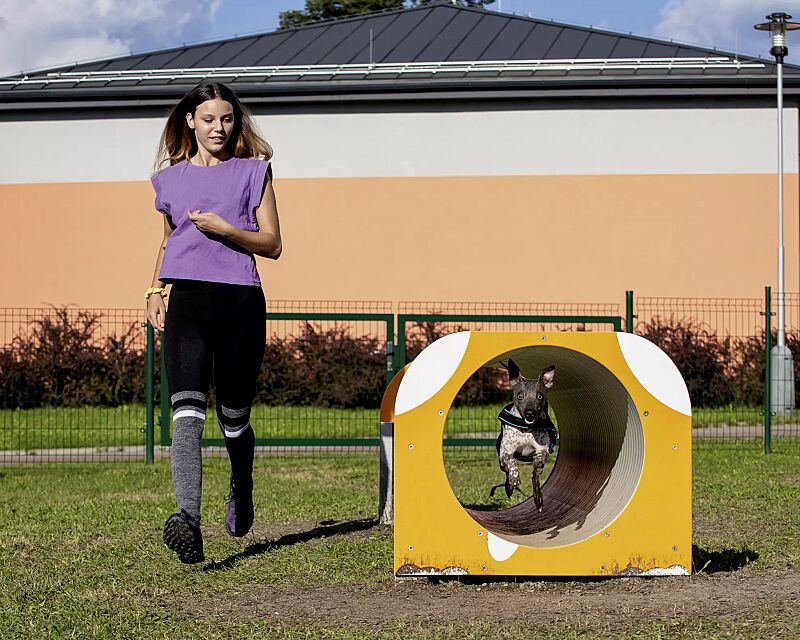 Hundetunnel VEIKKO, Kunststoffpaneele in daliengelb ähnlich RAL 1033 und RAL 9003 signalweiß