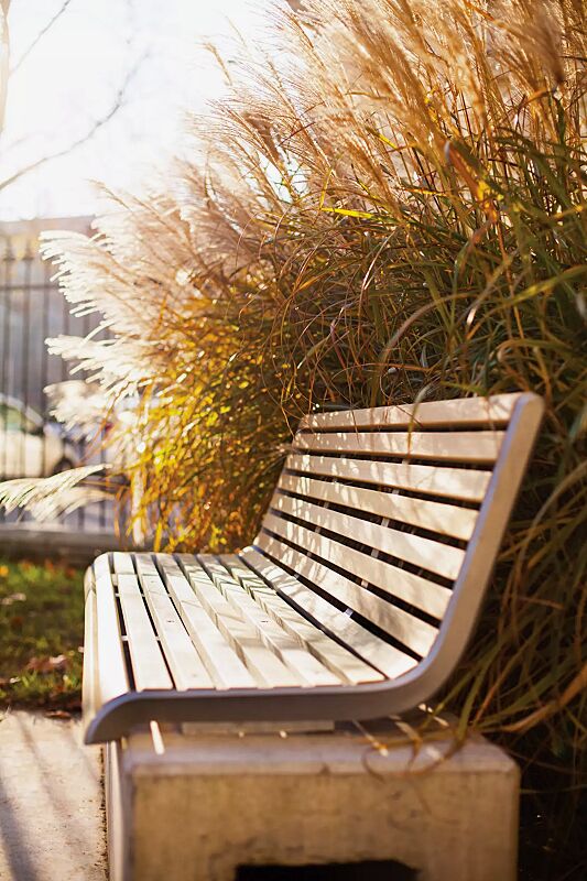 mauerauflage-port__shoKAT0057200 Mauerauflage PORT mit Rückenlehne, Breite 1820 mm, mit Robinienholzbelattung