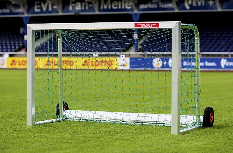 Mini-Tor SAFEGUARD, Höhe 1200 mm