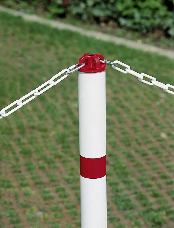 parkpilz-arafo__shoKAT0017628