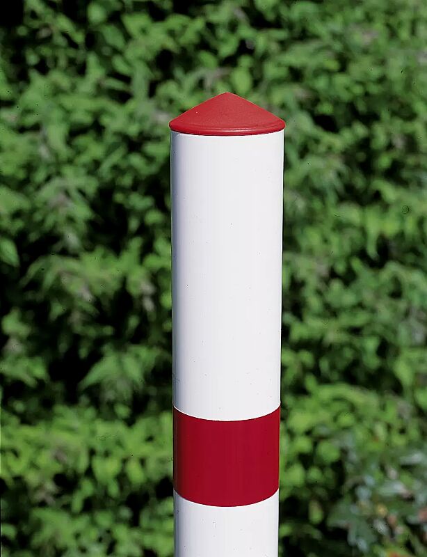 parkpilz-arafo__shoKAT0017629