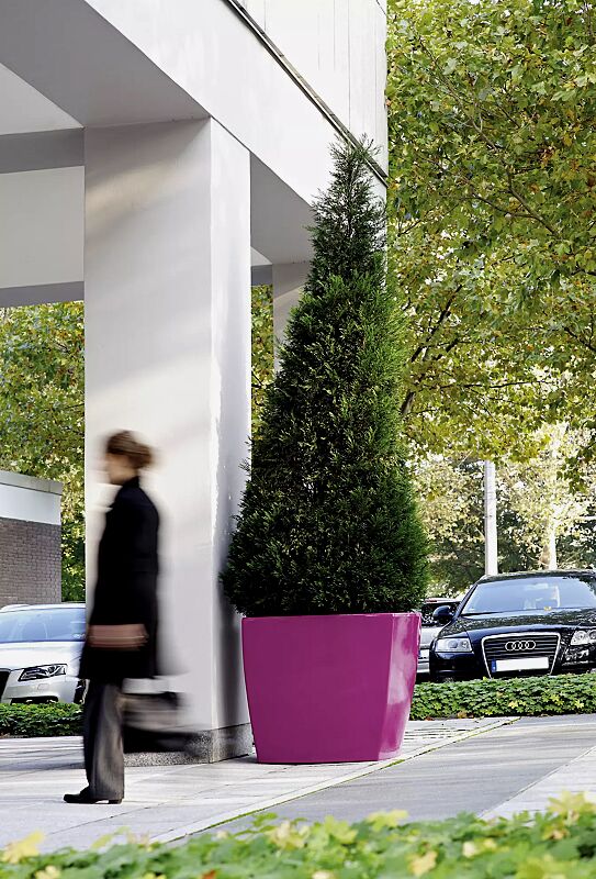 Pflanzbehälter DELHI in berry ähnlich RAL 4006