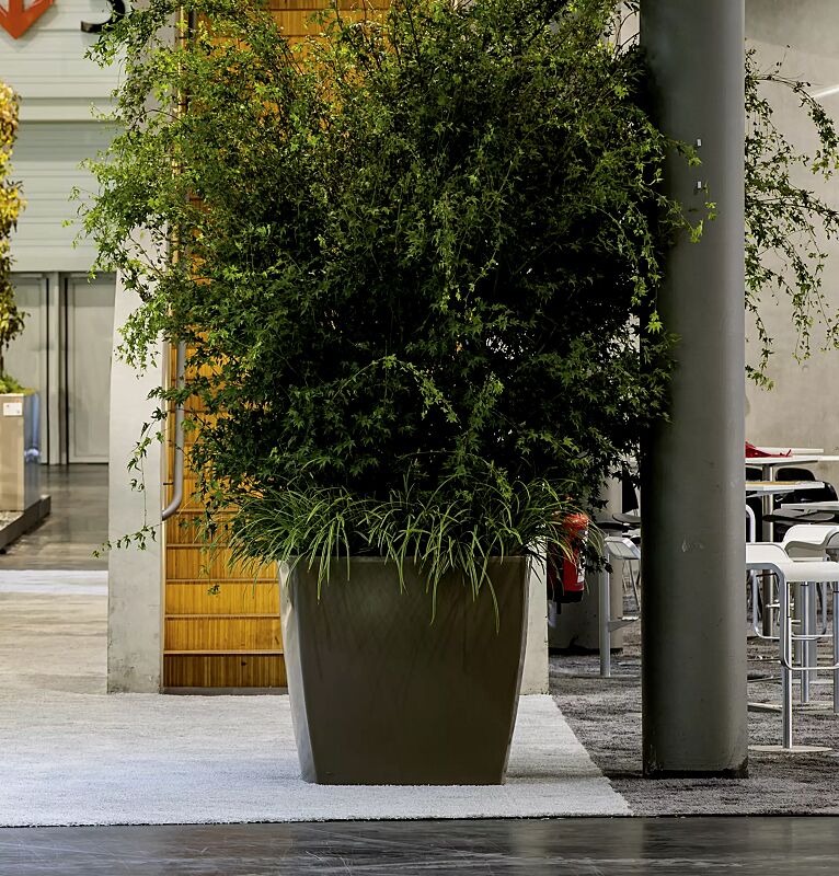 Pflanzbehälter DELHI