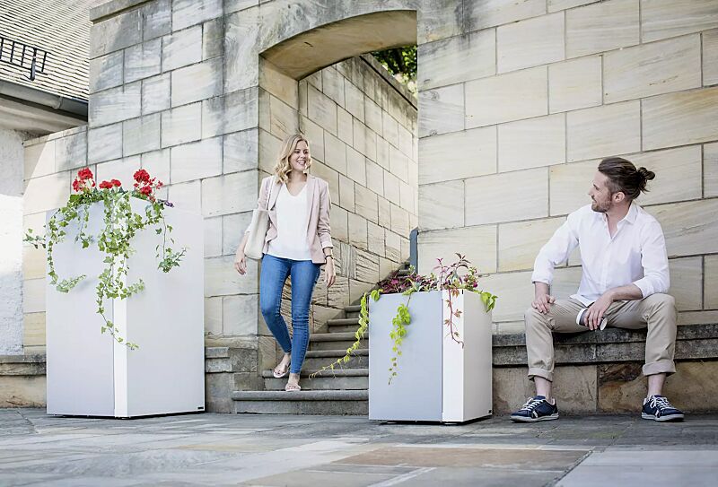 pflanzbehaelter-duo__shoKAT0057897 Pflanzbehälter DUO, quadratisch, Höhe 1300 mm und Höhe 620 mm, in RAL 9007 graualuminium und RAL 9010 signalweiß
