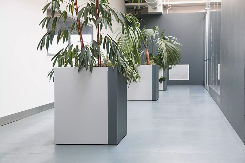 pflanzbehaelter-duo__shoKAT0060002 Pflanzbehälter DUO, quadratisch, Höhe 850 mm, in RAL 9006 weißaluminium und RAL 7012 basaltgrau