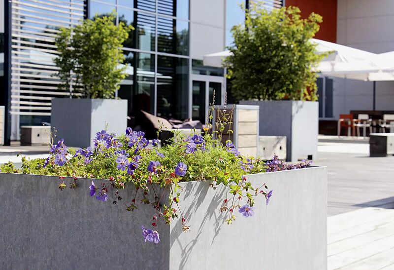pflanzbehaelter-eske__shoKAT0076054 Detail: Bepflanzung