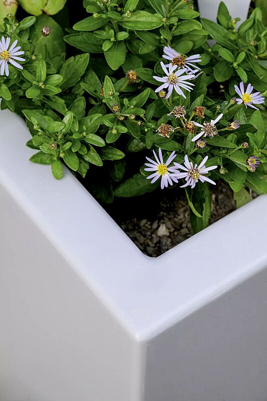 pflanzbehaelter-malout-new__shoKAT0076721 pflanzbehaelter-malout-new__shoKAT0076721