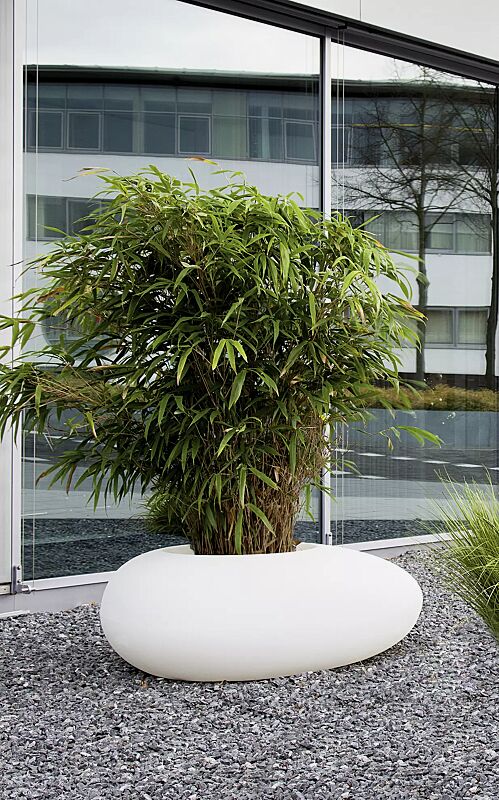 Pflanzbehälter MALUR-LIGHT, Höhe 500 mm, transluzent beleuchtet